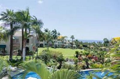 Palms at Wailea Maui