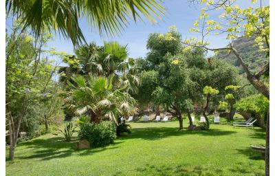 Alberi Del Paradiso