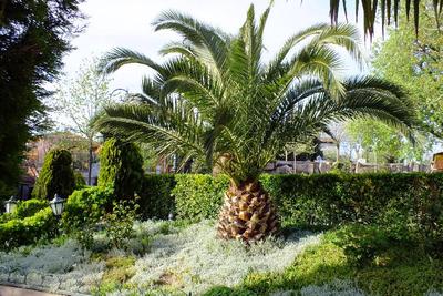 Turquhouse Boutique Hotel