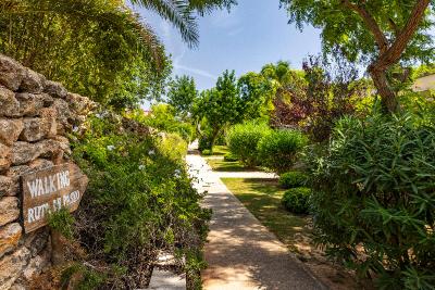 Can Lluc Boutique Hotel & Luxury Villas
