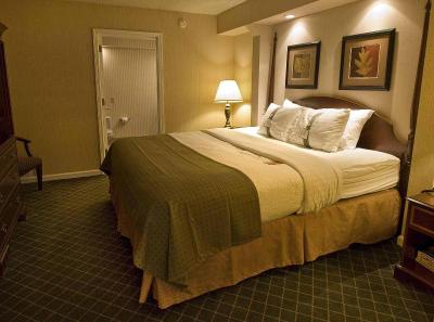 Buffalo Airport Hotel