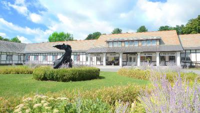 Holiday Inn Saratoga Springs