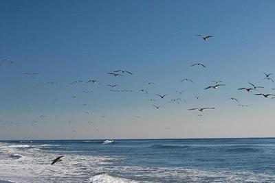 Holiday Inn Express Hotel & Suites Carpinteria