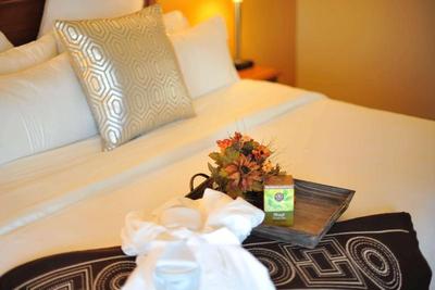 Hotel XOLA Trademark Collection by Wyndham