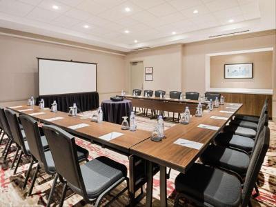 Hilton Garden Inn Chicago Magnificent Mile