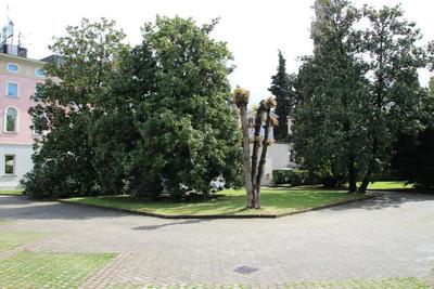 Park Hotel Villa Leon d'Oro