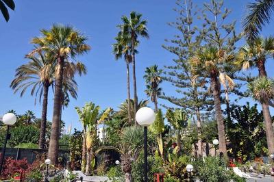 San Valentin & Terraforpark