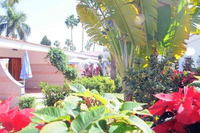 San Valentin & Terraforpark
