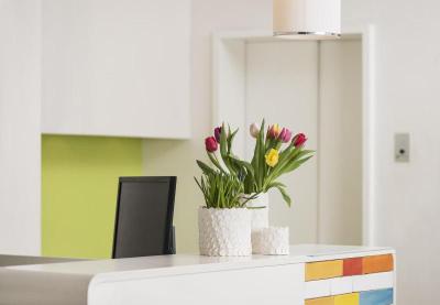 Creatif Hotel Elephant