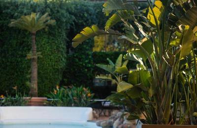 Swiss Hotel Moraira