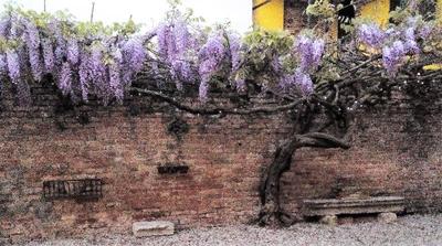 Relais Alcova del Doge