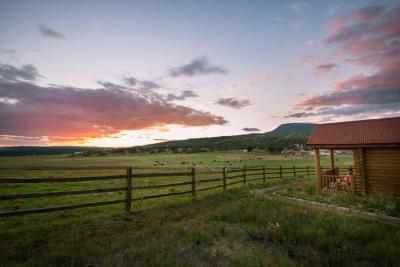 Zion Mountain Ranch