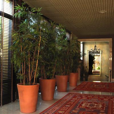 Luna Park Hotel Yoga & Spa