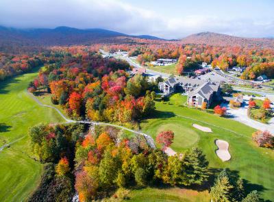 Killington Mountain Lodge, Tapestry
