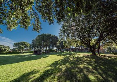 Montanya Hotel & Lodge