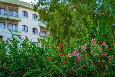 Riva Bodrum Resort