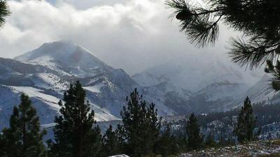 Mammoth Creek Inn