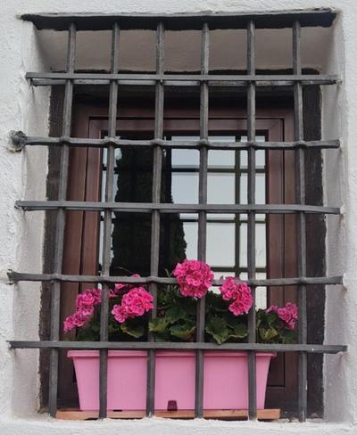 Plateros