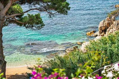 Hote Cala del Pi Beach Retreat - ADULTS ONLY