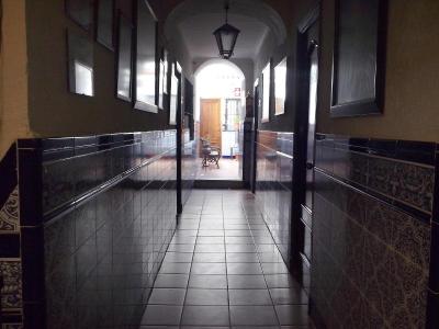 Nova Centro