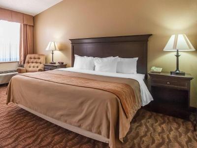 Comfort Inn at Thousand Hills