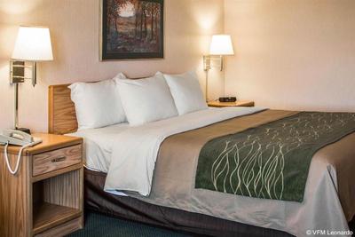 Comfort Inn Charlotte