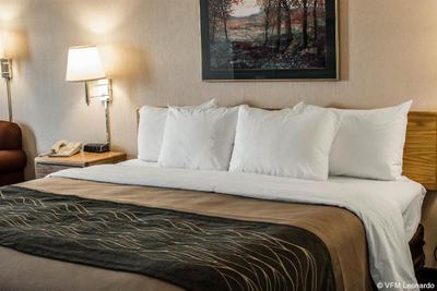 Comfort Inn Charlotte
