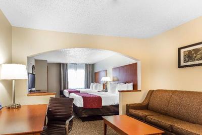 Comfort Suites North Dallas