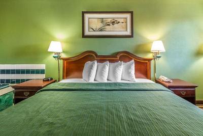 Quality Inn & Suites Macon North