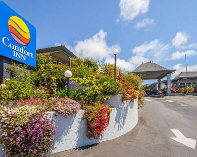 Blu Pacific Hotel