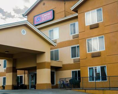 Comfort Suites Southwest
