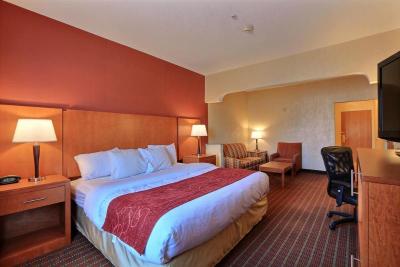 Comfort Suites (Auburn Hills)