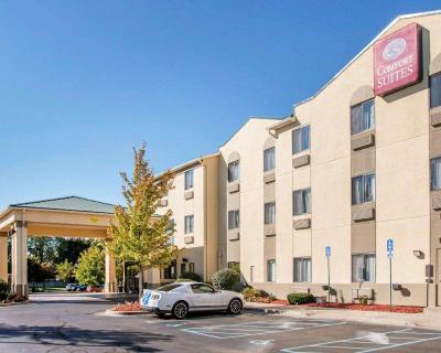 Comfort Suites (Auburn Hills)