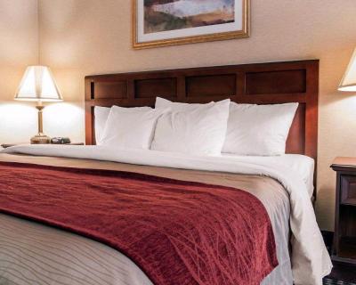 Comfort Inn (Livonia)