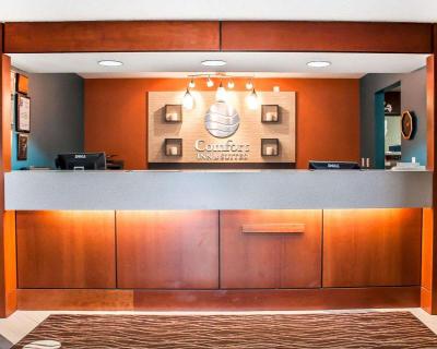 Comfort Inn & Suites Buffalo