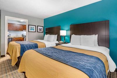 Comfort Inn Sun City Center - Ruskin - Tampa South