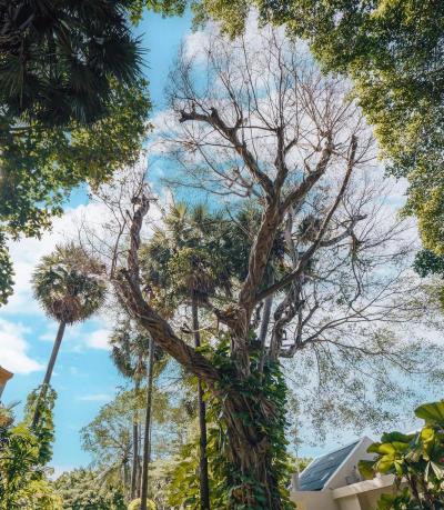 Paradox Resort Phuket