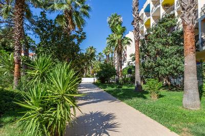 Smart Voxx Resort Hotel