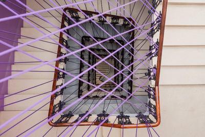 Purple Nest
