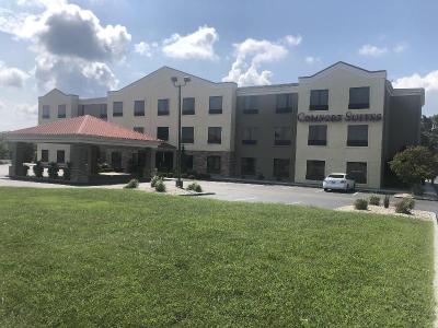 Comfort Suites (London)