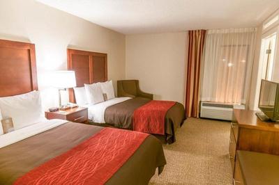 Comfort Inn Quantico