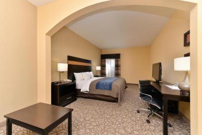 Comfort Inn & Suites at Stone Mountain