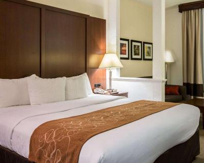 Comfort Suites Cumming-Atlanta near Northside Hosp