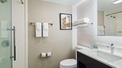 Best Western Atlanta-Marietta Ballpark Hotel
