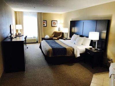 Comfort Inn & Suites Smyrna