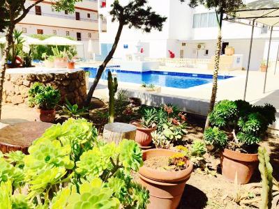 Apartamentos San Antonio Beach