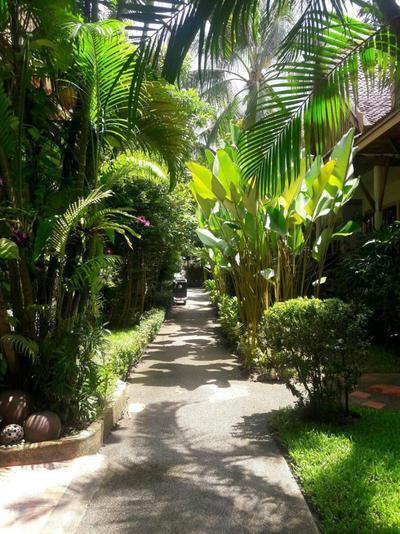 Bangtao Village Resort