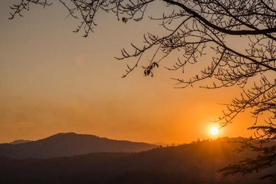 Phu Chaisai Mountain Resort & Spa Chiangrai