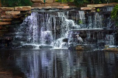 Sawgrass Marriott Golf Resort & Spa