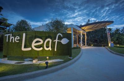 The Leaf on the Sands